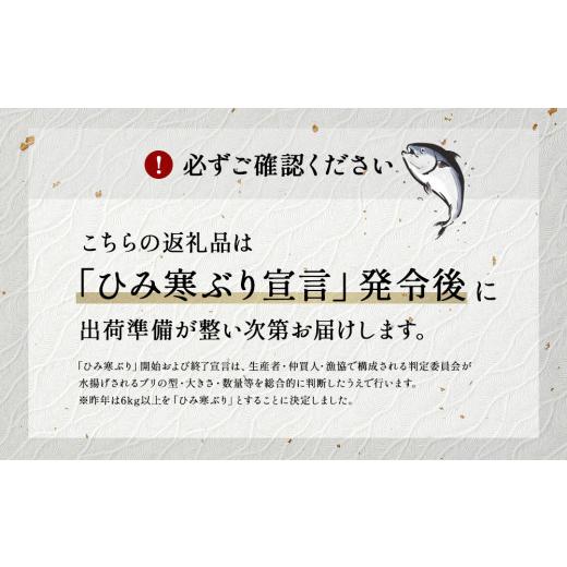 ふるさと納税 富山県 氷見市 【先行予約】ひみ寒ぶり かぶら寿司 富山県 氷見市 ブリ 寒ぶり 鰤 かぶら 寿司 期間限定 富山県 氷見市 ひみ寒ぶり かぶら