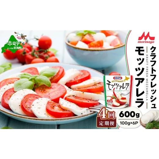 ふるさと納税 加工品等 チーズ 北海道 別海町  4ヵ月定期便 森永乳業 モッツァレラ チーズ 600g(100g×6P) × 4ヵ月 全4回 NAM040003 （中春別農協）（ふるさ…_1