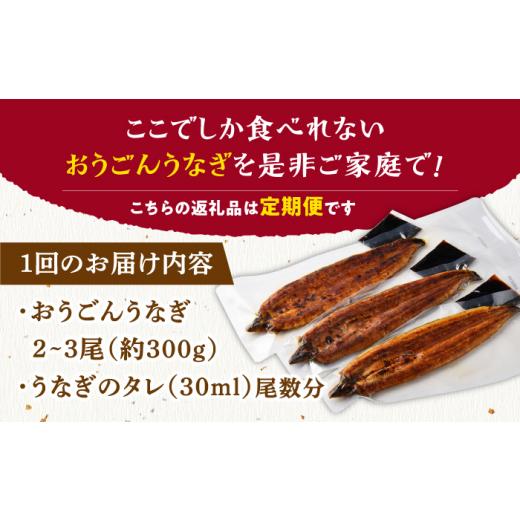 ふるさと納税 長崎県 平戸市 ＜全3回定期便＞【日本初！海水で養殖】長崎県産おうごん うなぎ 計900g（約300g×3回）平戸市 ／ 松永水産 うなぎ 鰻 ウナギ 土…｜furusatochoice｜08