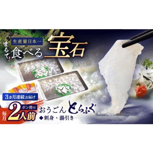 ふるさと納税 長崎県 平戸市 [全3回定期便][高級とらふぐをご家庭で]活〆 おうごん とらふぐ 刺身セット(2人前) 平戸市 / 松永水産 