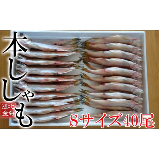 ふるさと納税 魚貝類 ししゃも 北海道 日高町 北海道産ししゃもS40尾
