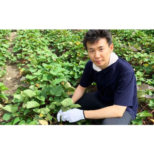 ふるさと納税 お茶類 緑茶（茶葉・ティーバッグ） 大阪府 高槻市 はにたんオーガニック和茶セット（煎茶「高槻藩 緑茶 源十郎」＋ほうじ茶「おおきみのお茶」…_7