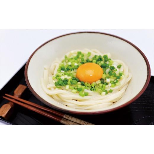 ふるさと納税 うどん 茨城県 境町 S187 境の手のばし麺 うどん 10人前×10箱_1