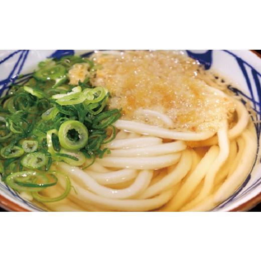 ふるさと納税 うどん 茨城県 境町 S187 境の手のばし麺 うどん 10人前×10箱_3
