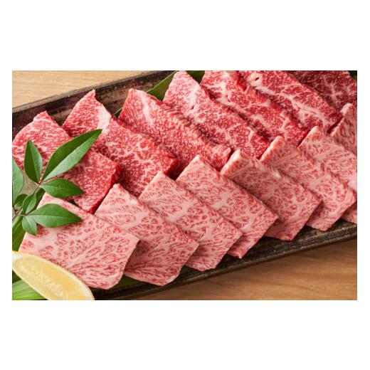 ふるさと納税 福岡県 筑紫野市 博多和牛 A4以上 焼肉セット 500g [MEAT PLUS 福岡県 筑紫野市 21760740] 肉 牛肉 和牛 黒毛和牛 焼肉 冷凍｜furusatochoice｜04