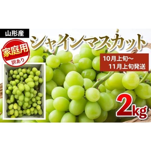ふるさと納税 ぶどう マスカット 山形県 山形市 ご家庭用 シャインマスカット 2kg入り 1箱 後半 令和7年産先行予約 FU21-632 フルーツ くだもの 果物 山形 山…