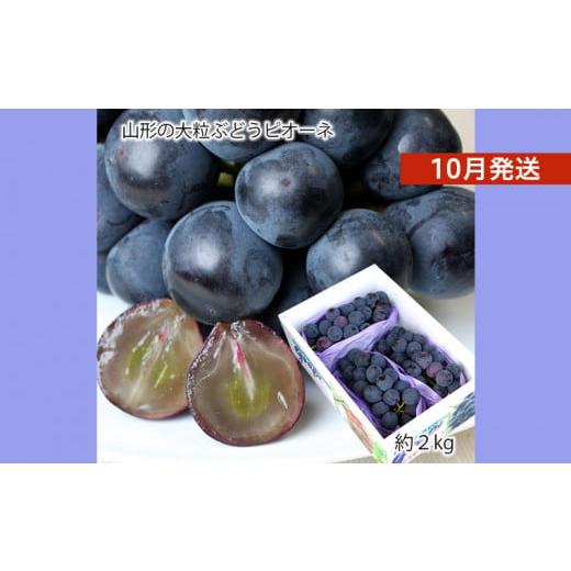 ふるさと納税 ぶどう 巨峰 山形県 山形市 山形のぶどう ピオーネ 秀品 約2kg(2〜5房) 10月発送 令和8年産先行予約 FS24-648 くだもの 果物 フルーツ 山形 山形…