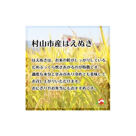 ふるさと納税 米 はえぬき 山形県 村山市  先行予約 新米 米 10kg 5kg×2 はえぬき 無洗米 令和8年産 2026年12月下旬 ja-hamxb10-12c 2026年12月下旬 |  | 04
