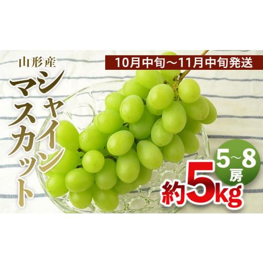 ふるさと納税 ぶどう マスカット 山形県 山形市 山形の大粒シャインマスカット 秀品 約5kg(5〜8房) 10中旬〜11月中旬発送 令和7年産先行予約 FS24-646くだもの…