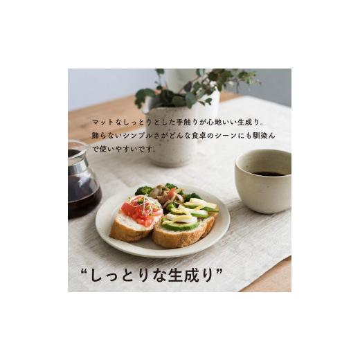 ふるさと納税 食器・グラス 皿 滋賀県 甲賀市 リムプレートM とび茶生成りセット s18-di14 信楽焼・明山の画像