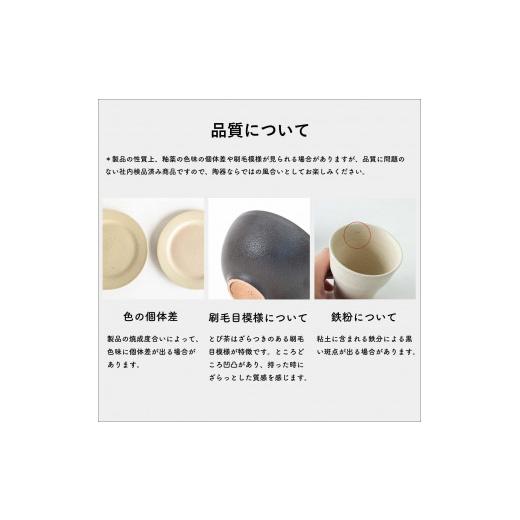 ふるさと納税 食器・グラス 皿 滋賀県 甲賀市 リムプレートM とび茶生成りセット s18-di14 信楽焼・明山の画像