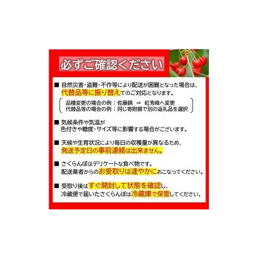 ふるさと納税 果物の詰合せ 山形県 南陽市  令和8年産先行予約 《定期便6回》 果樹王国山形 南陽のフルーツ定期便A 『マルエ青果』 果物 くだもの フルーツ 山…_3