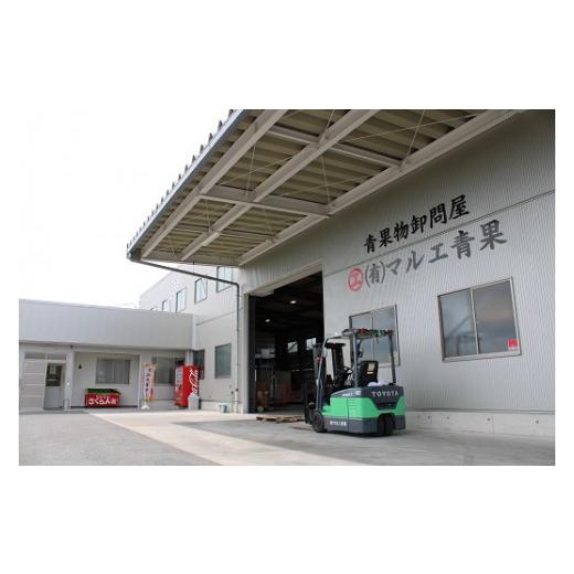 ふるさと納税 果物の詰合せ 山形県 南陽市  令和8年産先行予約 《定期便6回》 果樹王国山形 南陽のフルーツ定期便A 『マルエ青果』 果物 くだもの フルーツ 山…_6