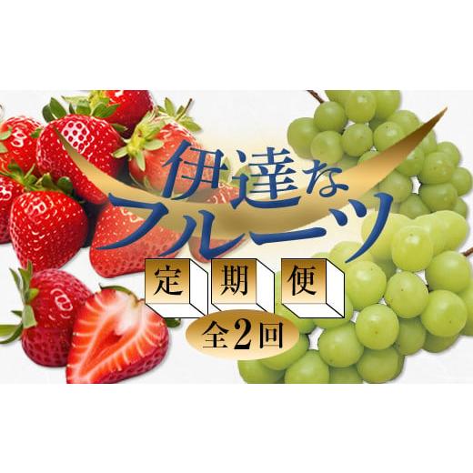 ふるさと納税 果物の詰合せ 福島県 伊達市 2026年春から開始の定期便 伊達なフルーツ定期便 (いちご・ぶどう) 果物 フルーツ 苺 イチゴ 葡萄 ブドウ 福島県 …