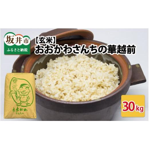 ふるさと納税 米 福井県 坂井市 令和7年産 おおかわさんちの華越前 玄米 30kg お米 こめ ハナエチゼン 30キロ ご飯 ごはん 美味しい ふるさと納税米