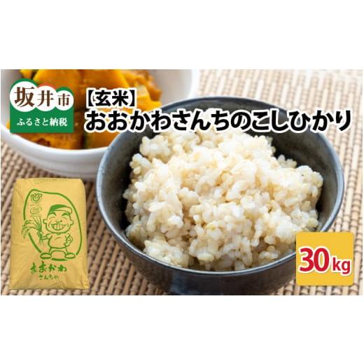 ふるさと納税 米 コシヒカリ 福井県 坂井市 令和7年産 おおかわさんちのコシヒカリ玄米 30kg コシヒカリ 米 おこめ 30キロ ブランド米 国産