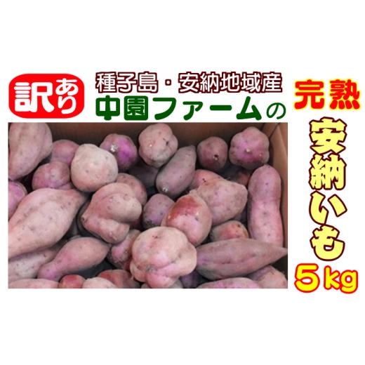 ふるさと納税 野菜類 サツマイモ 鹿児島県 西之表市 &lt; 訳あり &gt; 種子島 安納いも 中園ファーム 安納芋 (生芋) 5kg NFN401 200pt