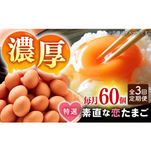 ふるさと納税 長崎県 壱岐市 [全3回定期便]特選 素直な恋たまご 60個 [壱岐市][しまのたまご屋さん] [JAP003] 卵 たまご 鶏卵 玉子 ギフト 国産 もみじ …