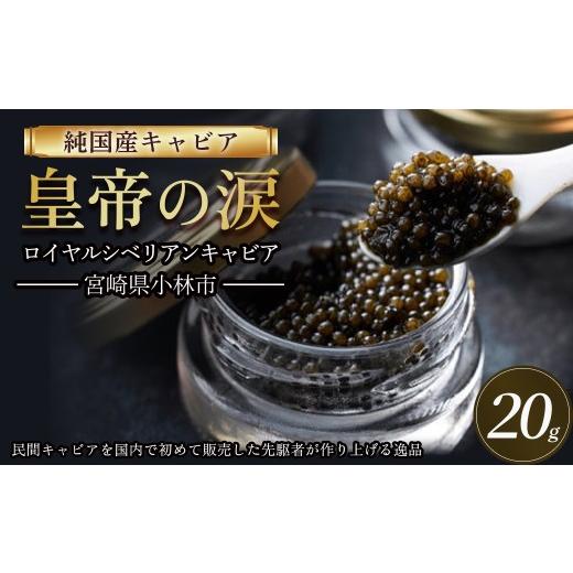 ふるさと納税 魚貝類 キャビア 宮崎県 小林市 純国産キャビア ロイヤルシベリアンキャビア 20g 皇帝の涙 国産 チョウザメ 魚卵 ...