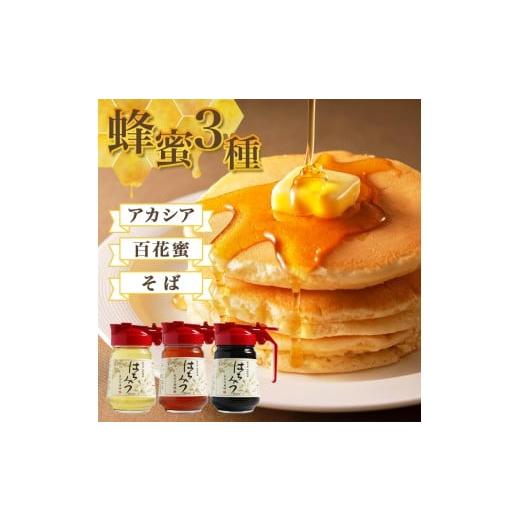 ふるさと納税 加工品等 はちみつ 三重県 南伊勢町 はちみつ 国産 百花蜜 アカシア そば 900g 長谷川養蜂 ハチミツ 蜂蜜 純粋はちみつ 国産はちみつ ハニー 贈…の画像