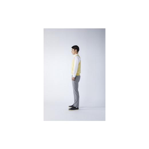 ふるさと納税 服 男 大阪府 泉大津市 日本製 カシミヤ100% Vベスト イエロー Mサイズ 2634の画像