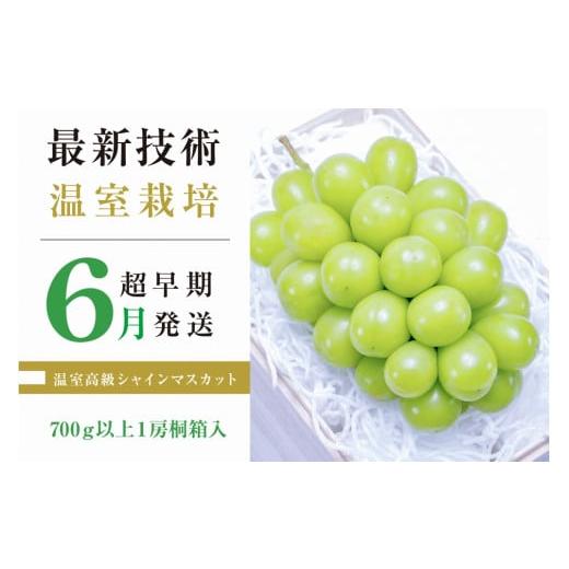 ふるさと納税 山梨県 甲州市 超早期栽培温室高級シャインマスカット「初物の頂」700g以上1房 桐箱入り[2024年発送](RO)D5-104
