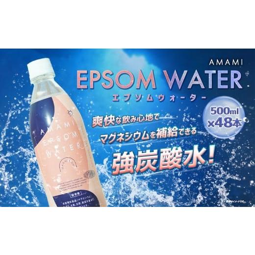 ふるさと納税 炭酸飲料 兵庫県 赤穂市 炭酸水 エプソム ウォーター AMAMI 500ml×48本 計24L / 強炭酸 水 飲料 ドリンク 炭酸飲料 備蓄 防災 マグネシウム 美…