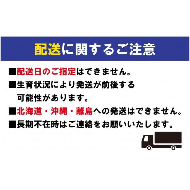 ふるさと納税 財布 香川県 丸亀市 小さい縦づかい財布　ブラック（納期：入金から3か月程度） カラー：ブラック 寄附額：100,000円の画像