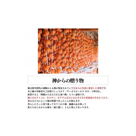果物類 柿 奈良県 五條市 柿もなか（12個）と郷愁の柿（9個）セット | お菓子 スイーツ 最中 もなか モナカ 柿 かき カキ 【べこ】 奈良県 五條市