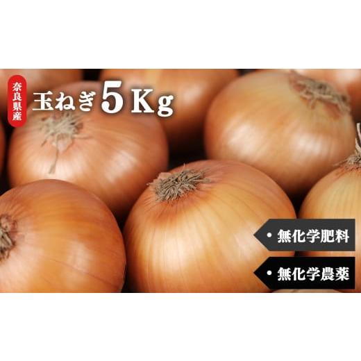 ふるさと納税 野菜類 玉ねぎ 奈良県 五條市 甘味たっぷり 生命の農法（ 無化学農薬 ・ 無化学肥料栽培 ） 玉ねぎ 5kg ｜ヤサイ 野菜 やさい 玉葱 玉ねぎ たま…の画像