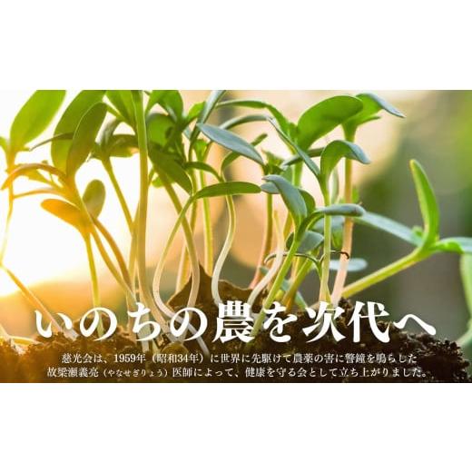 ふるさと納税 野菜類 玉ねぎ 奈良県 五條市 甘味たっぷり 生命の農法（ 無化学農薬 ・ 無化学肥料栽培 ） 玉ねぎ 5kg ｜ヤサイ 野菜 やさい 玉葱 玉ねぎ たま…の画像