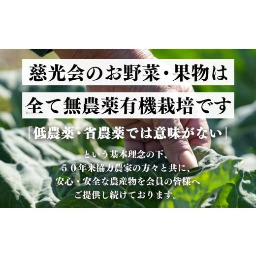 ふるさと納税 野菜類 玉ねぎ 奈良県 五條市 甘味たっぷり 生命の農法（ 無化学農薬 ・ 無化学肥料栽培 ） 玉ねぎ 5kg ｜ヤサイ 野菜 やさい 玉葱 玉ねぎ たま…の画像