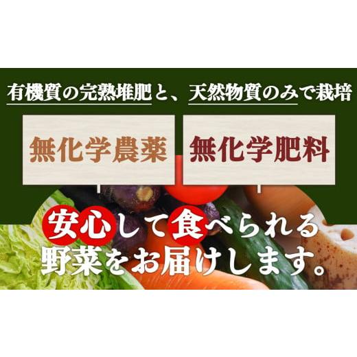 ふるさと納税 野菜類 玉ねぎ 奈良県 五條市 甘味たっぷり 生命の農法（ 無化学農薬 ・ 無化学肥料栽培 ） 玉ねぎ 5kg ｜ヤサイ 野菜 やさい 玉葱 玉ねぎ たま…の画像