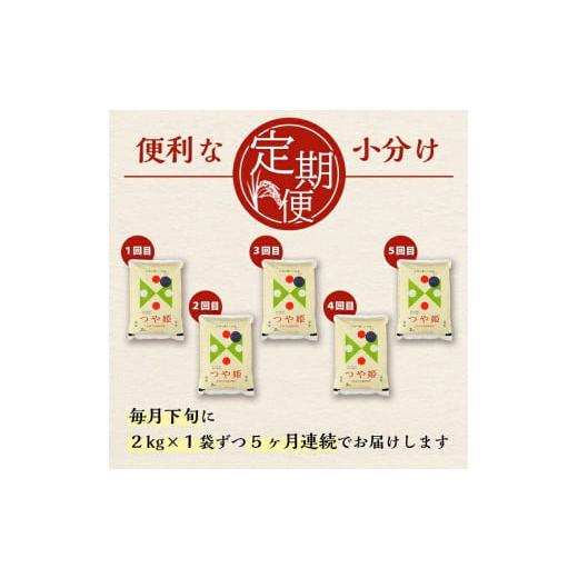 ふるさと納税 山形県 酒田市 SC0284　【5回定期便】無洗米 特別栽培米つや姫　2kg×5回(計10kg) SA 21日 末日頃 にお届け