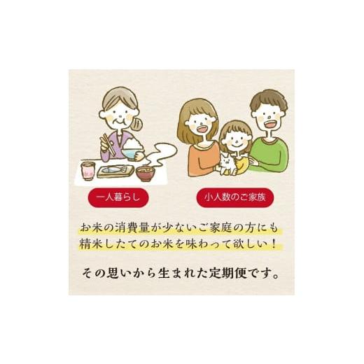 ふるさと納税 山形県 酒田市 SC0284　【5回定期便】無洗米 特別栽培米つや姫　2kg×5回(計10kg) SA 21日 末日頃 にお届け