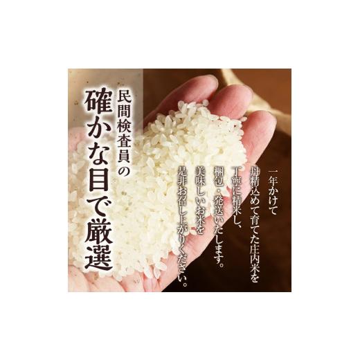 ふるさと納税 山形県 酒田市 SC0284　【5回定期便】無洗米 特別栽培米つや姫　2kg×5回(計10kg) SA 21日 末日頃 にお届け