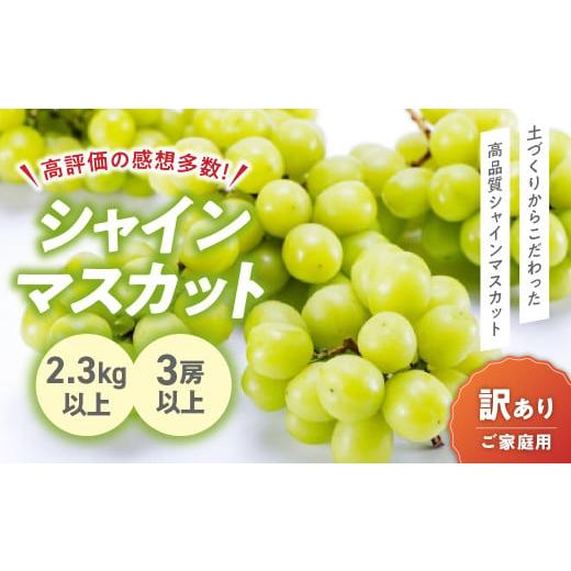 ふるさと納税 ぶどう マスカット 山梨県 甲斐市 2025年分発送 訳あり ご家庭用 シャインマスカット 3房以上 2.3kg 先行予約 先行 予約 山梨県産 産地直送 フ…