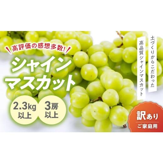 ふるさと納税 山梨県 甲斐市 [?先行予約?2024年/令和6年発送分][訳あり]ご家庭用シャインマスカット2.3kg [山梨 シャインマスカット]