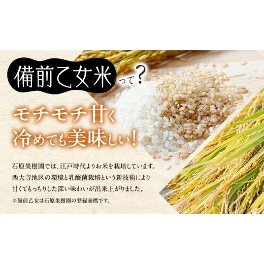 ふるさと納税 米 岡山県 瀬戸内市 米 令和7年産 石原果樹園の備前乙女米 玄米 30kg×1袋 11月上旬〜順次発送予定 お米 ライス 乳酸菌栽培 岡山県 おにぎり お…の画像