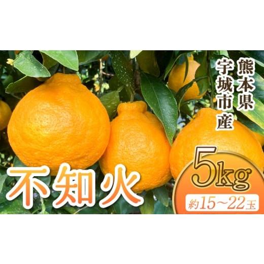 ふるさと納税 みかん・柑橘類 デコポン 熊本県 宇城市 先行予約 宇城市産 不知火 約5kg 15玉〜22玉前後 2026年3月上旬から5月上旬発送予定 しらぬい みかん ミ…