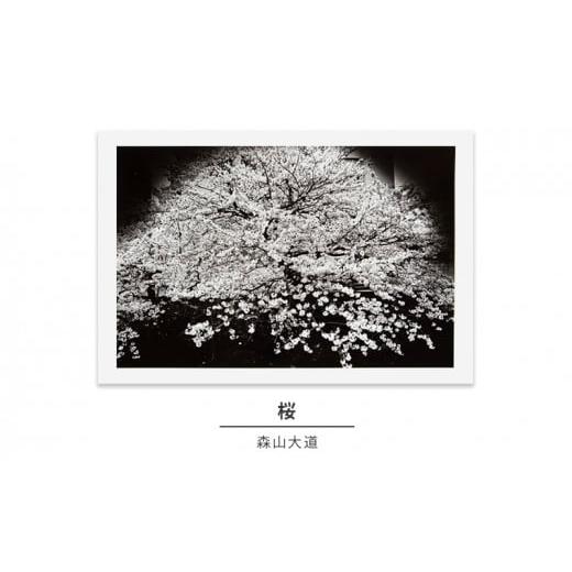 2026年3月】森山大道（アート写真集その他）のおすすめ人気ランキング