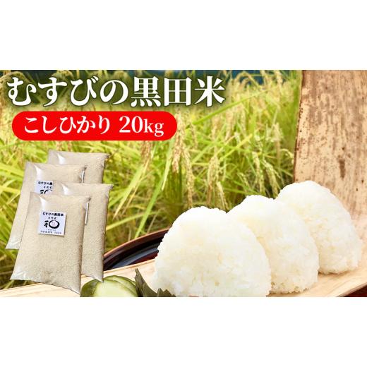 ふるさと納税 米 コシヒカリ 三重県 津市 むすびの黒田米 こしひかり 20キロ 米 お米 20kg 5kg×4袋 コシヒカリ お弁当 おむすび 冷めても美味しい_1