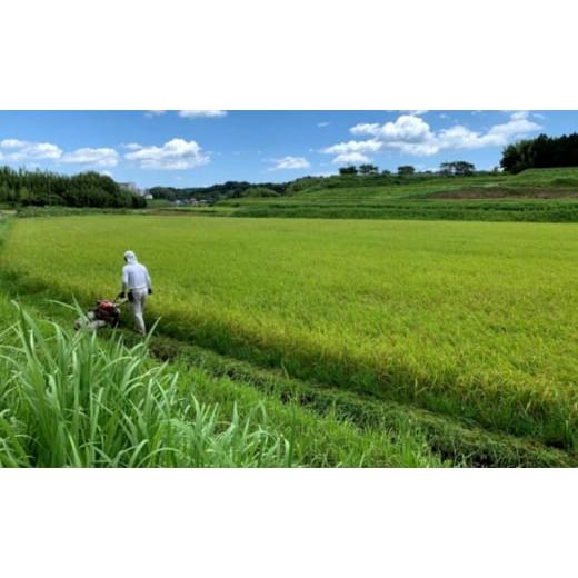 ふるさと納税 米 コシヒカリ 三重県 津市 むすびの黒田米 こしひかり 20キロ 米 お米 20kg 5kg×4袋 コシヒカリ お弁当 おむすび 冷めても美味しい_5