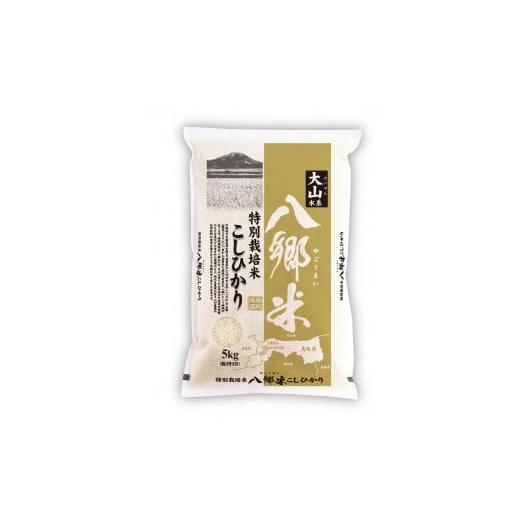 ふるさと納税 鳥取県 米子市 大山山麓 八郷米特別栽培コシヒカリ 5kg
