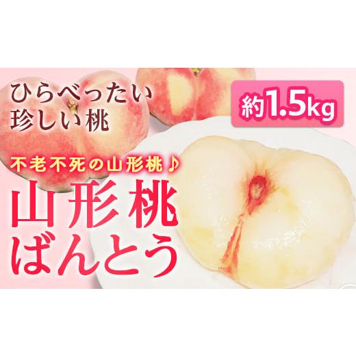 ふるさと納税 もも 山形県 - 《先行予約》不老不死の山形県産桃 山形県産桃ばんとう1.5kg もも モモ 桃 デザート フルーツ 果物 くだもの 果実 食品 山形県 FS…の画像