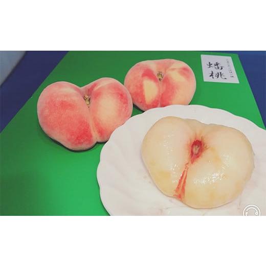 ふるさと納税 もも 山形県 - 《先行予約》不老不死の山形県産桃 山形県産桃ばんとう1.5kg もも モモ 桃 デザート フルーツ 果物 くだもの 果実 食品 山形県 FS…の画像