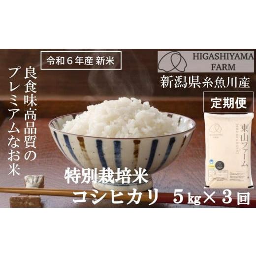 ふるさと納税 新潟県 糸魚川市 令和6年産新米予約[定期便]コシヒカリ 5kg×3回 計15kg 新潟県糸魚川産 良食味高品質 安全安心なプレミアムなお米 特別栽培米…