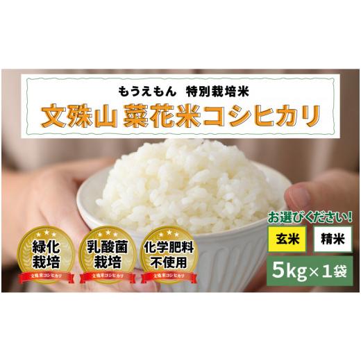 ふるさと納税 米 コシヒカリ 福井県 鯖江市 令和7年産 文殊山 菜花米コシヒカリ 5kg(5kg × 1袋)真空パック C-08207a / 真空パック 白米 玄米 特別栽培米…