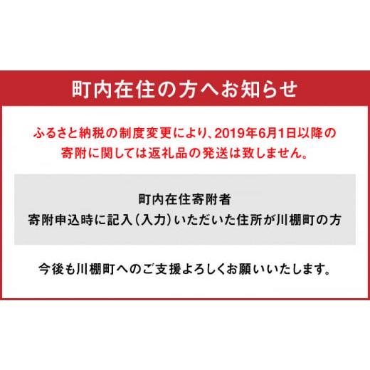 ふるさと納税 和菓子 どら焼き 長崎県 川棚町  12回定期便 生どら焼き 尾崎の生どら 毎月20個お届け 計240個 菓舗いさみ屋 OBB016 ／ どらやき ドラヤキ 和菓…の画像