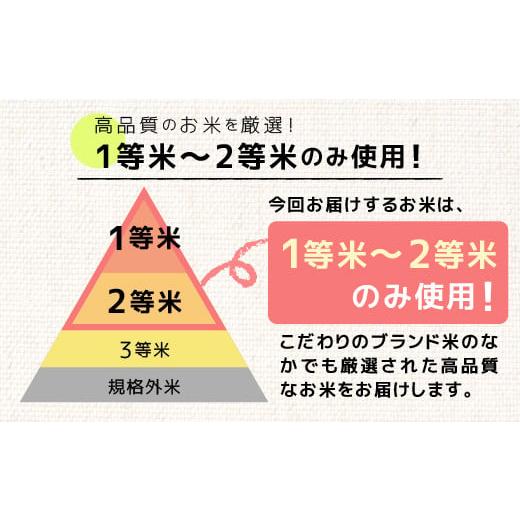 ふるさと納税 熊本県 甲佐町 ★令和5年産★数量限定★【定期便3ヶ月】熊本を代表するブランド米15ｋｇ×3ヶ月　（森のくまさん5kg×3袋）決済確定月の翌月20日…｜furusatochoice｜06